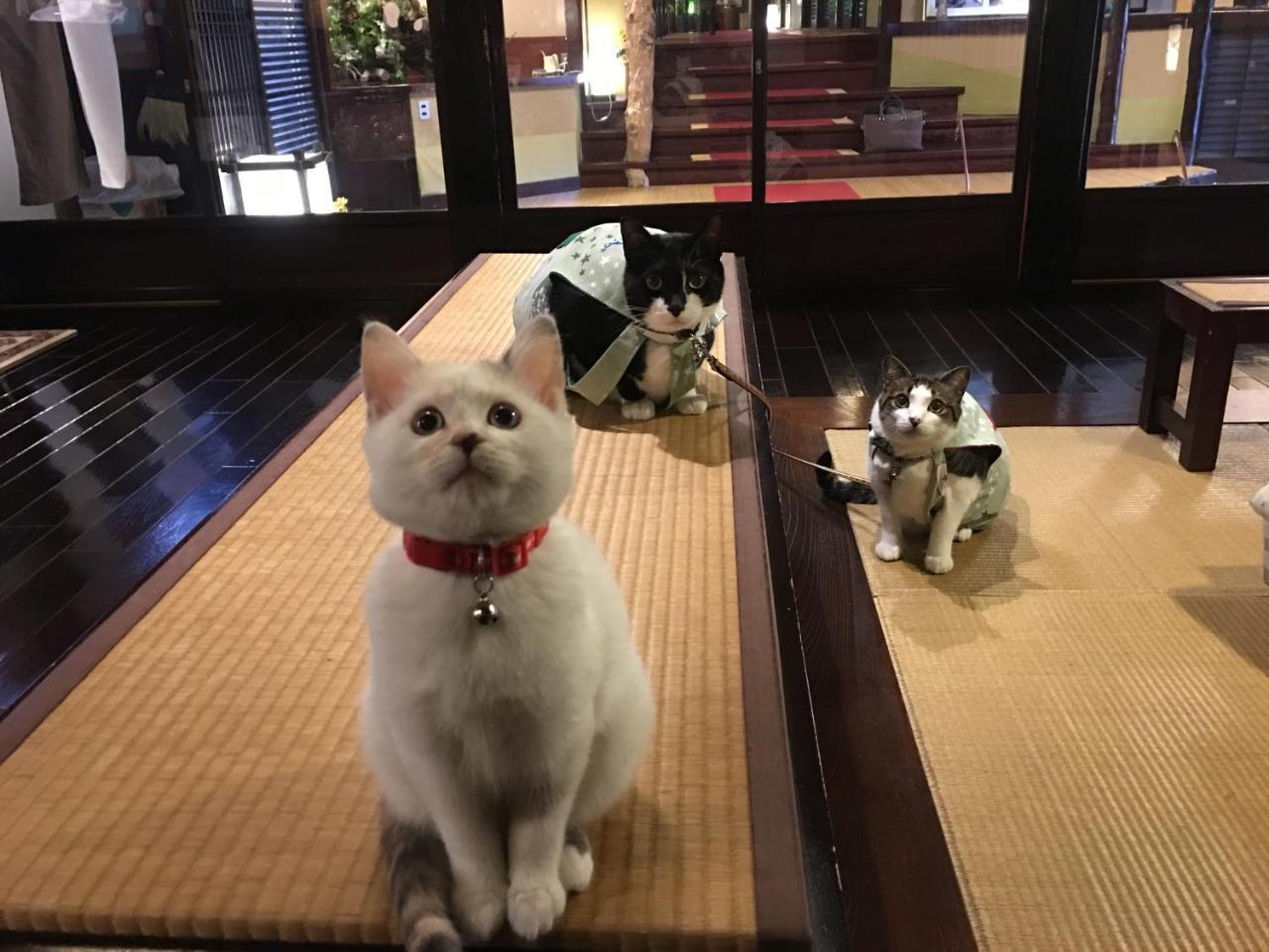 Nishiya Hotel โยเนซาวะ ภายนอก รูปภาพ